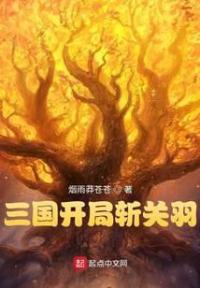 三国开局斩关羽